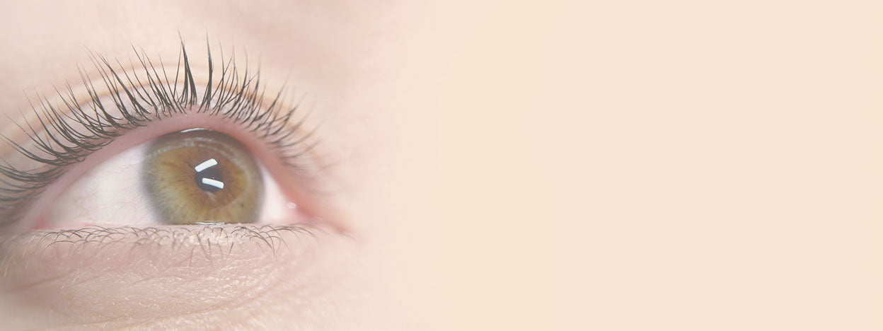 What Exactly Is InLei® Lash Filler? Blog Banner