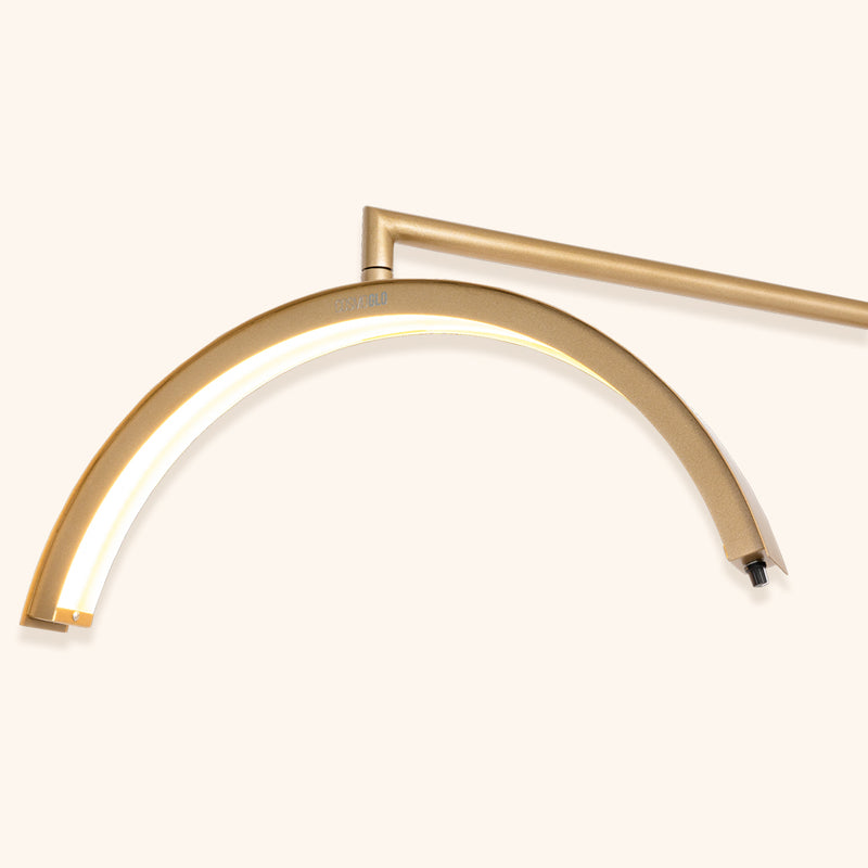 best light with phone clip for beauty professionals, best light for Lash Techs, best light for lash salon