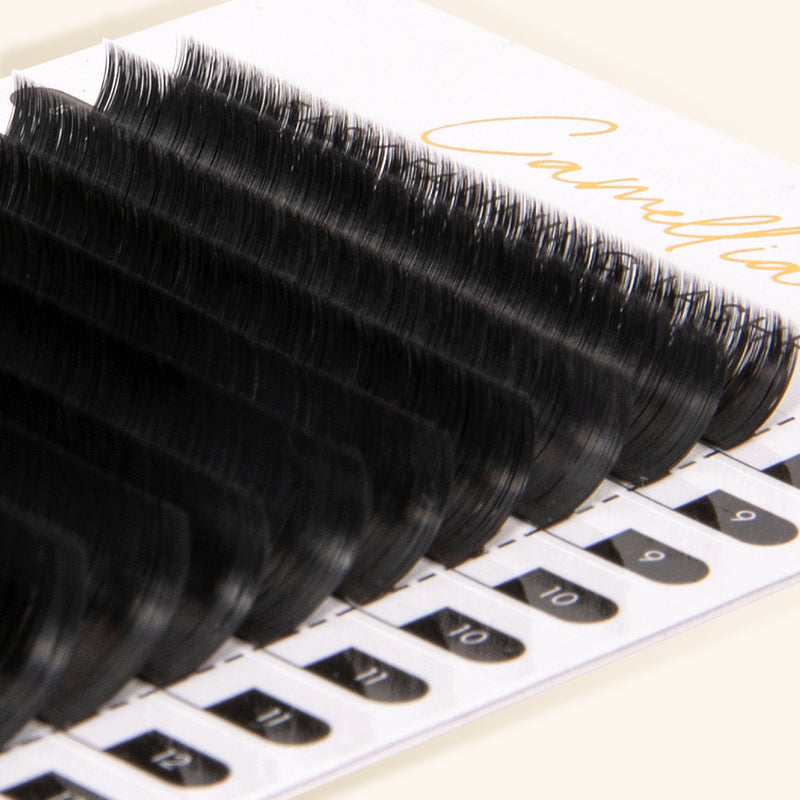 best easy fanning mega volume lashes, best easy fanning mega volume eyelash extensions, best easy fanning mega volume lashes, best easy fanning mega volume eyelash extensions, best easy fanning mega volume lashes 0.03, best mega volume lashes, best Russia