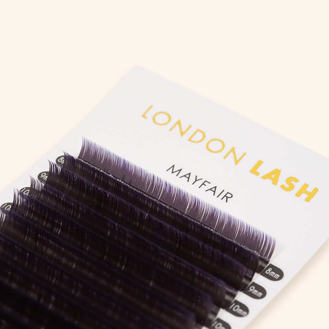 violet two-tone ombre coloured volume lashes, best violet coloured eyelash extensions, best violet two-tone ombre coloured volume lash extensions, best violet two-tone ombre coloured volume lashes, best ombre coloured volume eyelash extensions, best ombre