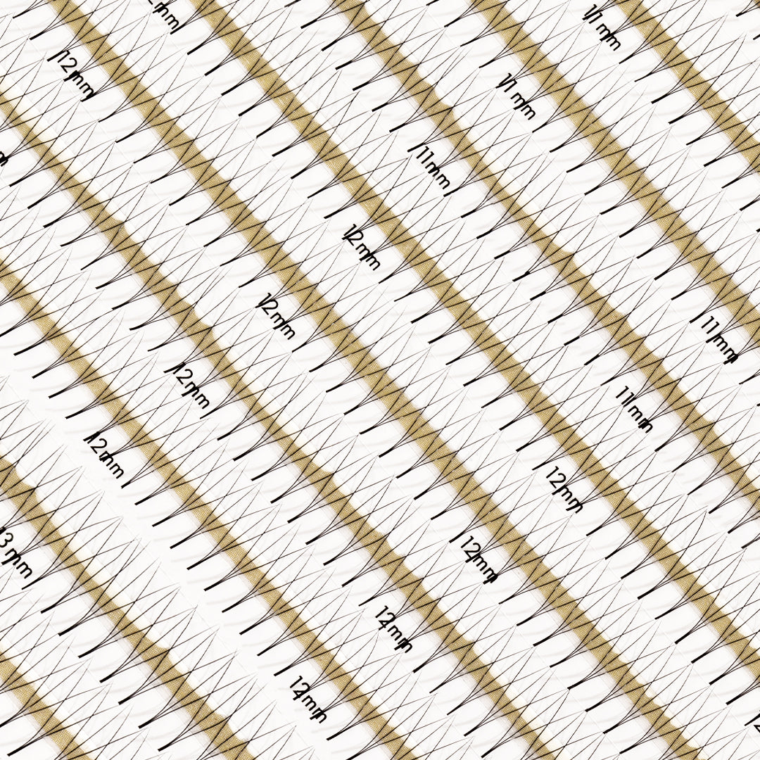 Best Premade Lash Fans Mayfair 3D 0.07 1000 fans - Mixed Lengths, Best Premade Eyelash Extensions 