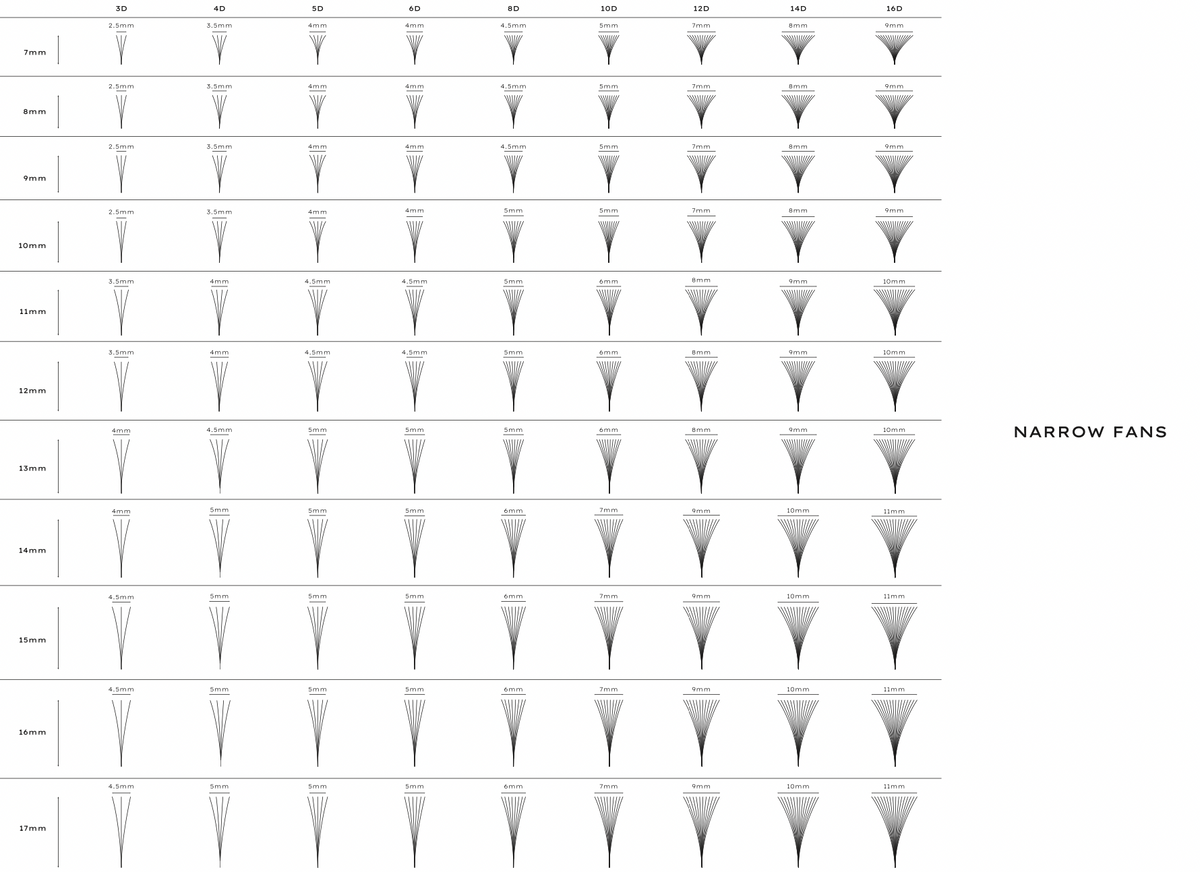 a table showing different lash fans from 3D to 16D