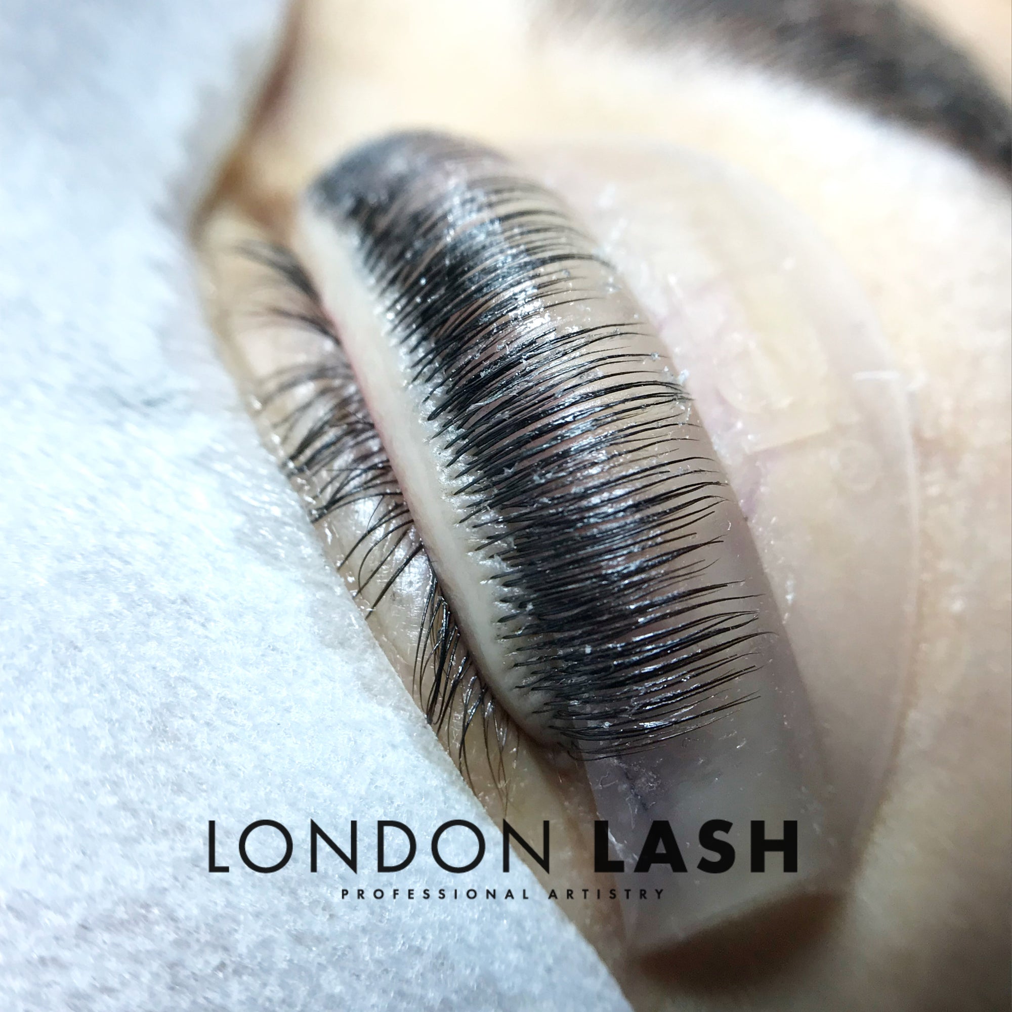 natural lashes lifted onto a silicone shield during a lash filler treatment