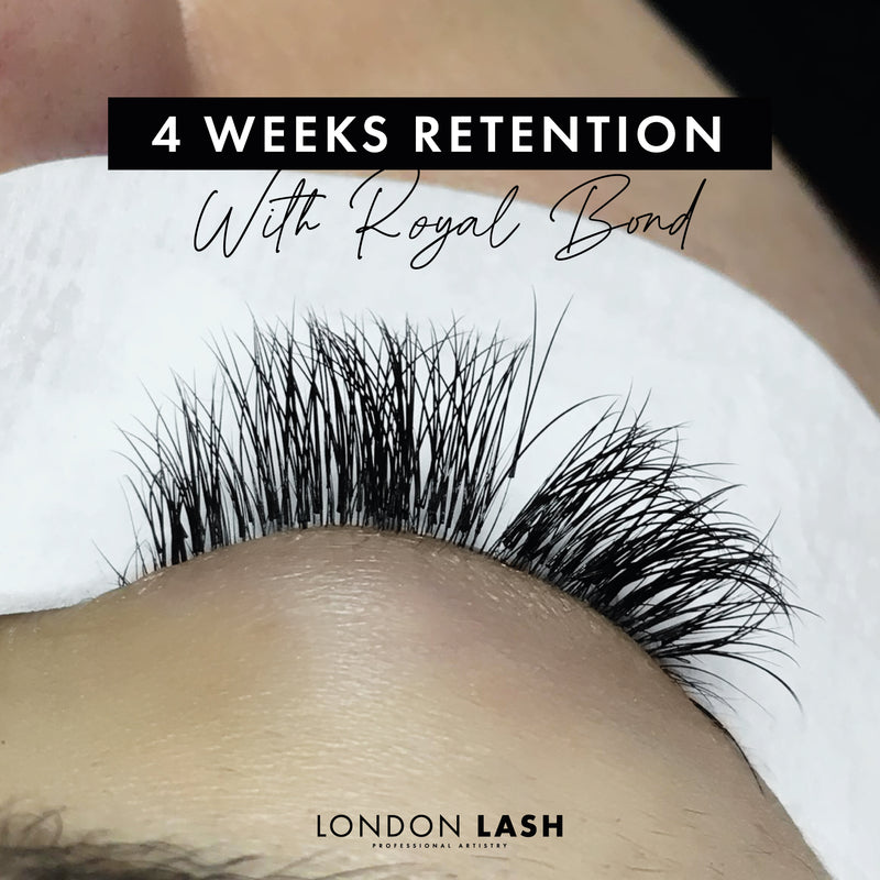 4 weeks of volume lash retention with Royal Bond Eyelash Extension Glue